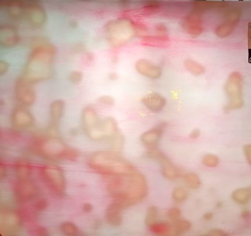 Widok pod światło szkła witrażowego Mississippi River Glass 1007M różowo-białe opalescent.jpg