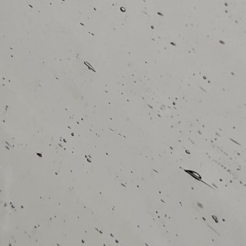 wanda szare 210.jpeg