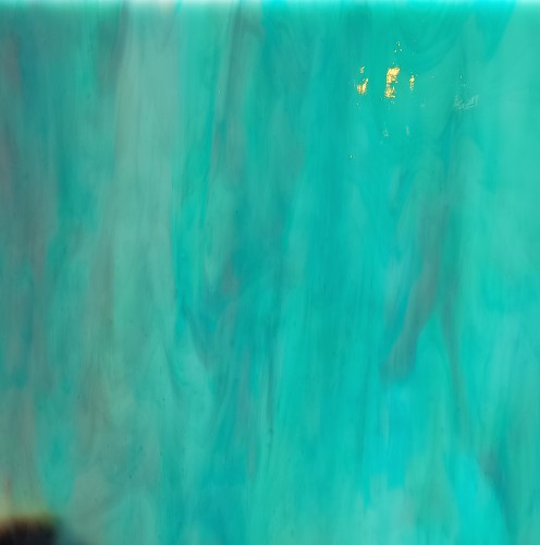 1000048018.jpg
