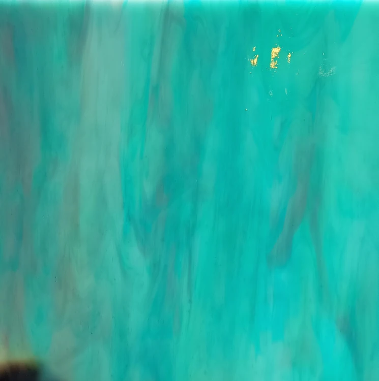 1000048018.jpg