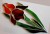30ac6a38d7598b61f59687657bacde5b