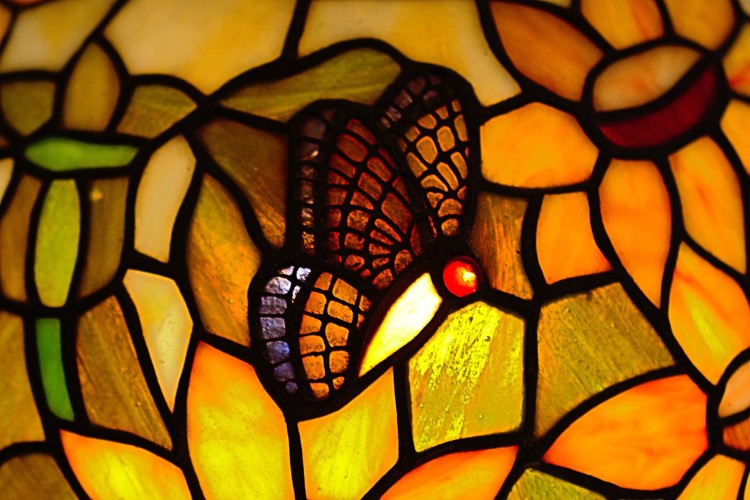 butterfly-3877427_1920.jpg